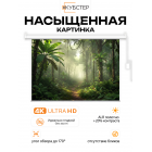 ALR экран с электроприводом Кубстер 221х124 см (16:9), 100 дюймов