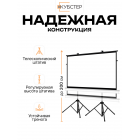 Экран на штативе КУБСТЕР с возвратным механизмом 264 на 148 см (16:9), 120 дюймов