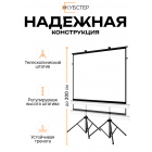 Экран на штативе КУБСТЕР с возвратным механизмом 244 на 183 см (4:3), 120 дюймов