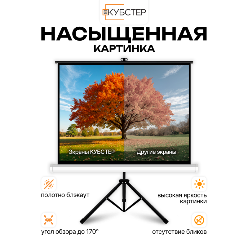 Экран на штативе КУБСТЕР с возвратным механизмом 164 на 123 см (4:3), 84 дюйма