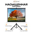 Экран на штативе КУБСТЕР с возвратным механизмом 203 на 152 см (4:3), 100 дюймов