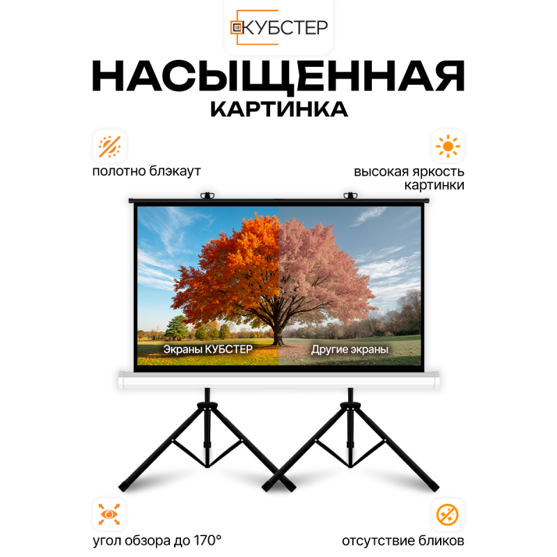 Экран на штативе КУБСТЕР с возвратным механизмом 264 на 148 см (16:9), 120 дюймов