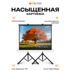 Экран на штативе КУБСТЕР с возвратным механизмом 244 на 183 см (4:3), 120 дюймов