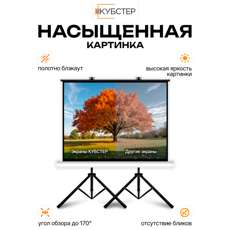 Экран на штативе КУБСТЕР с возвратным механизмом 244 на 183 см (4:3), 120 дюймов