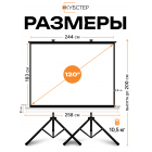 Экран на штативе КУБСТЕР с возвратным механизмом 244 на 183 см (4:3), 120 дюймов