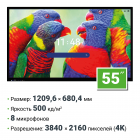 Интерактивная панель 55 дюймов HAVIS HWST65-IFPD02 с ИИ камерой, Android 14