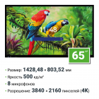 Интерактивная панель 65 дюймов HAVIS HWST65-IFPD02 с ИИ камерой, Android 14