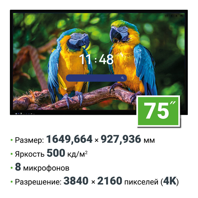 Интерактивная панель 75 дюймов HAVIS HWST75-IFPD02 с ИИ камерой, Android 14
